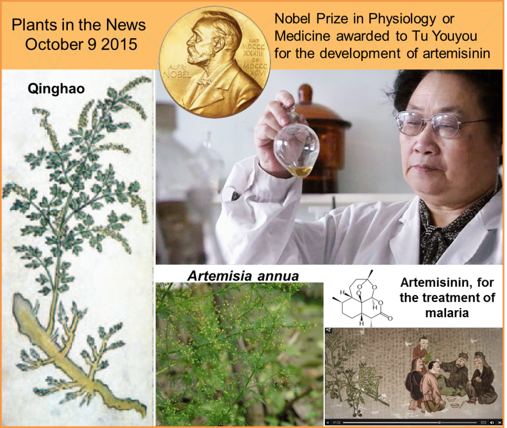 Nobel Ödülü Kazandıran Bitki